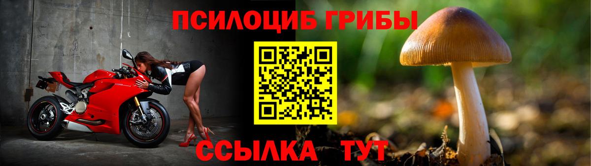 Галлюциногенные грибы Psilocybine cubensis  Псилоцибиновые грибы Psilocybe  Вход с VPN  Советская Гавань 